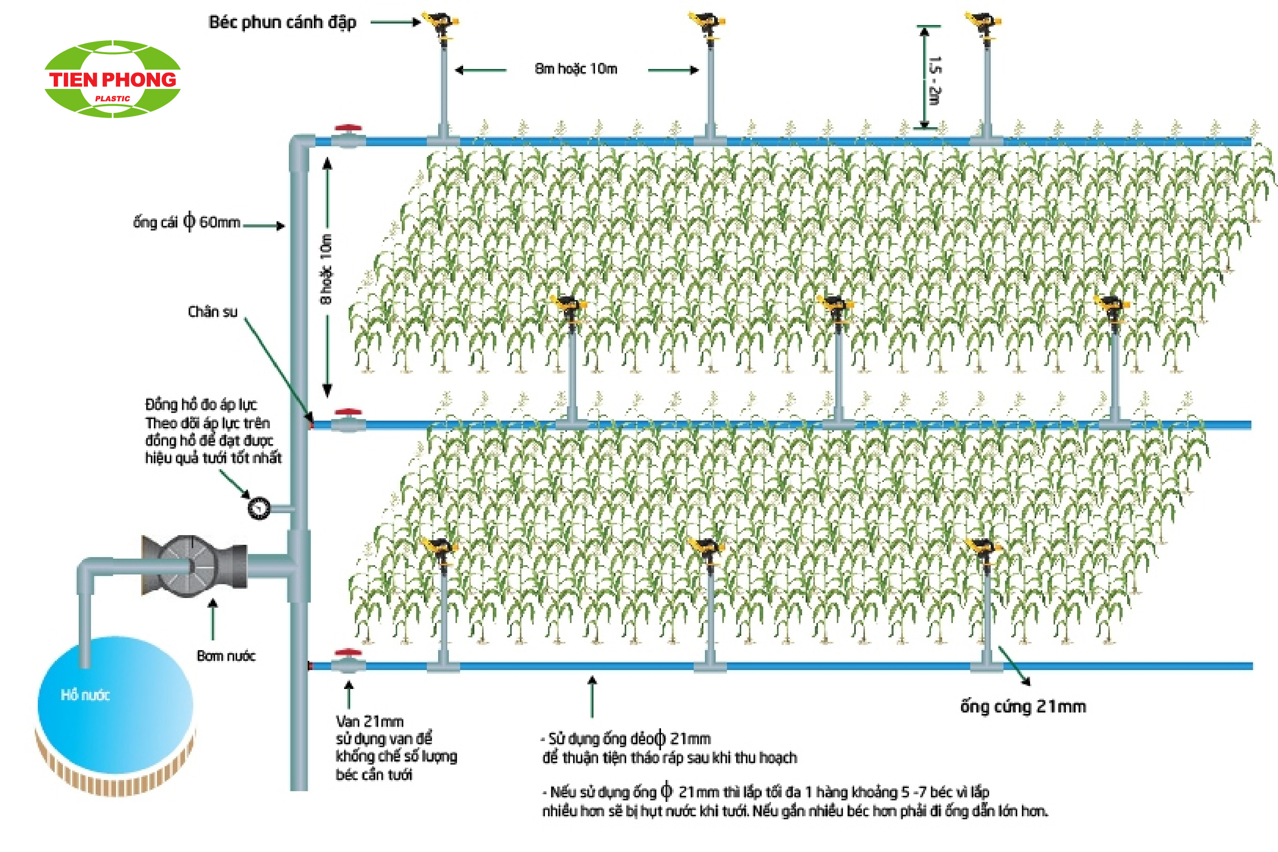 Sơ đồ hệ thống ống tưới (nguồn: sưu tầm)