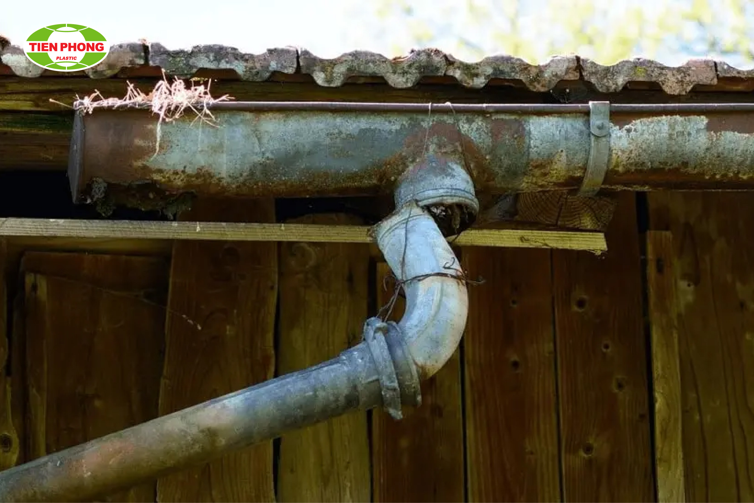 Máng xối bị rỉ sét