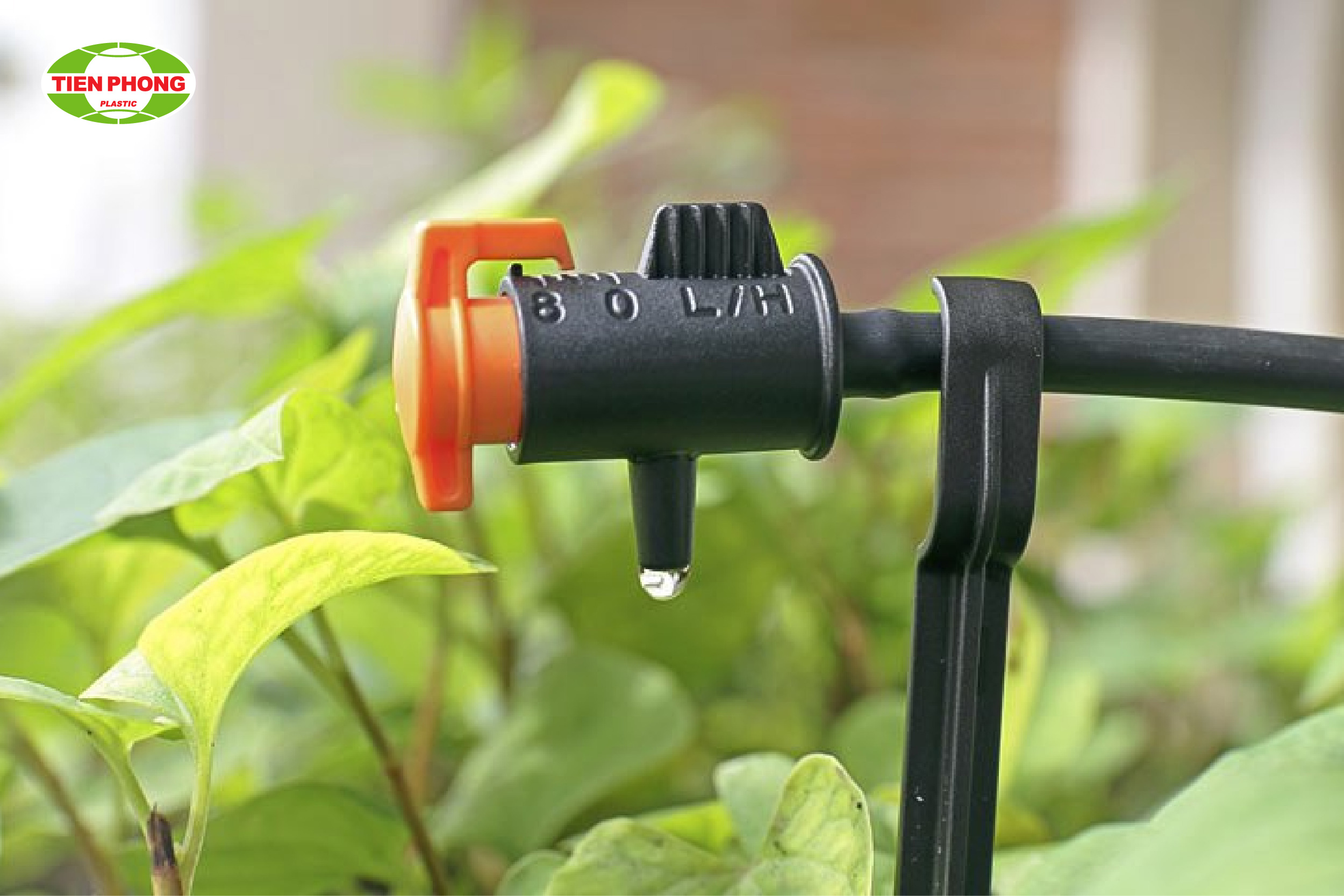 Béc tưới nhỏ giọt