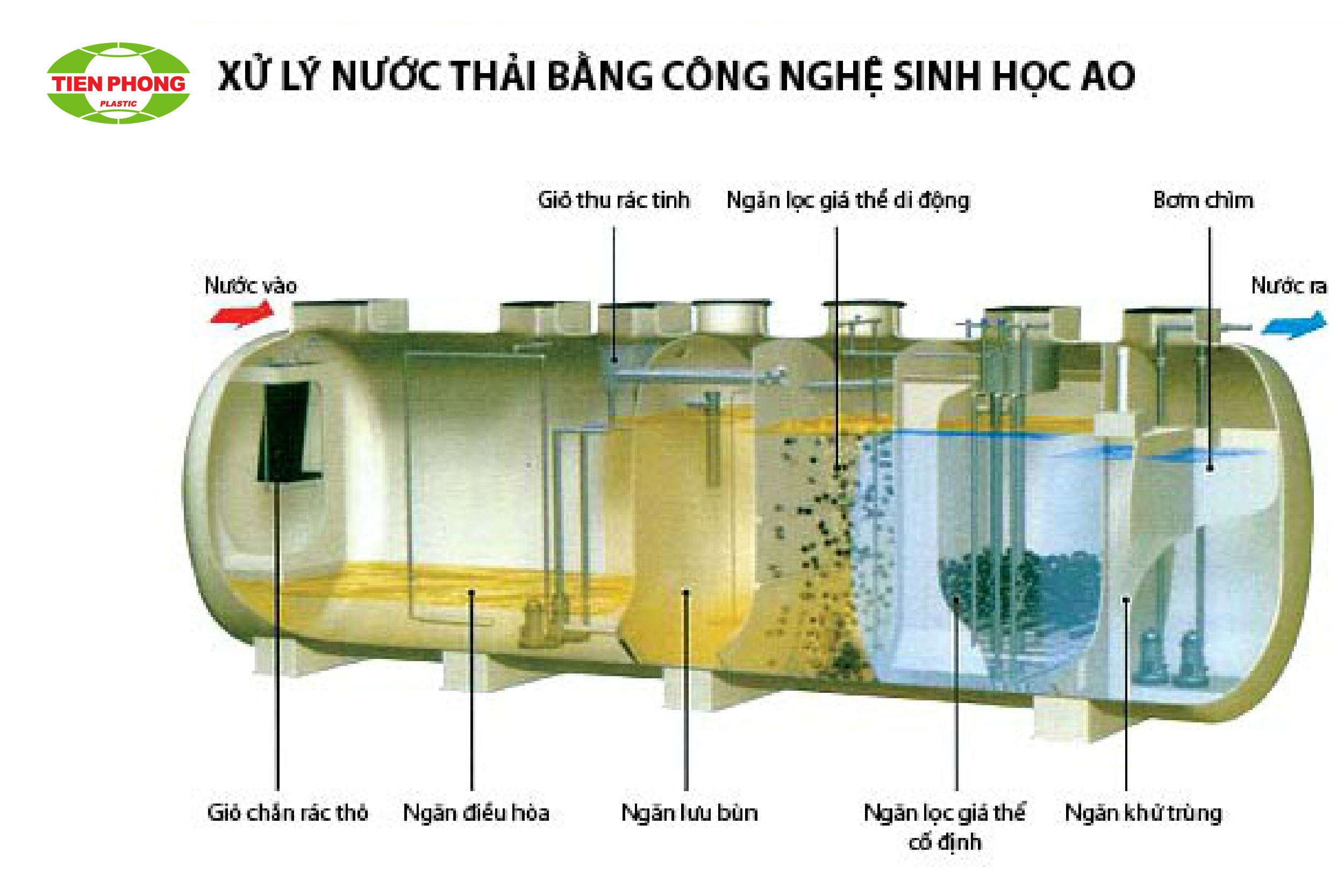 Xử lý sinh học trong hệ thống nước thải