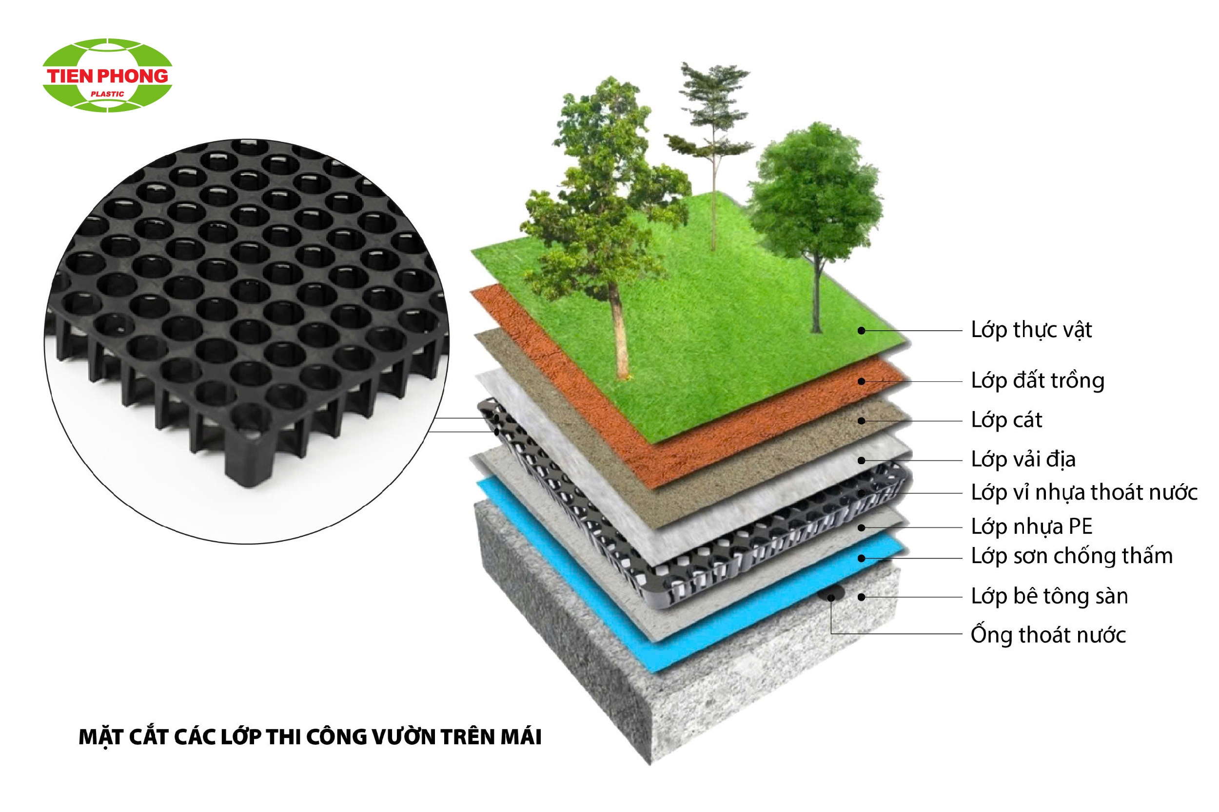 Cấu tạo hệ thống vườn trên mái