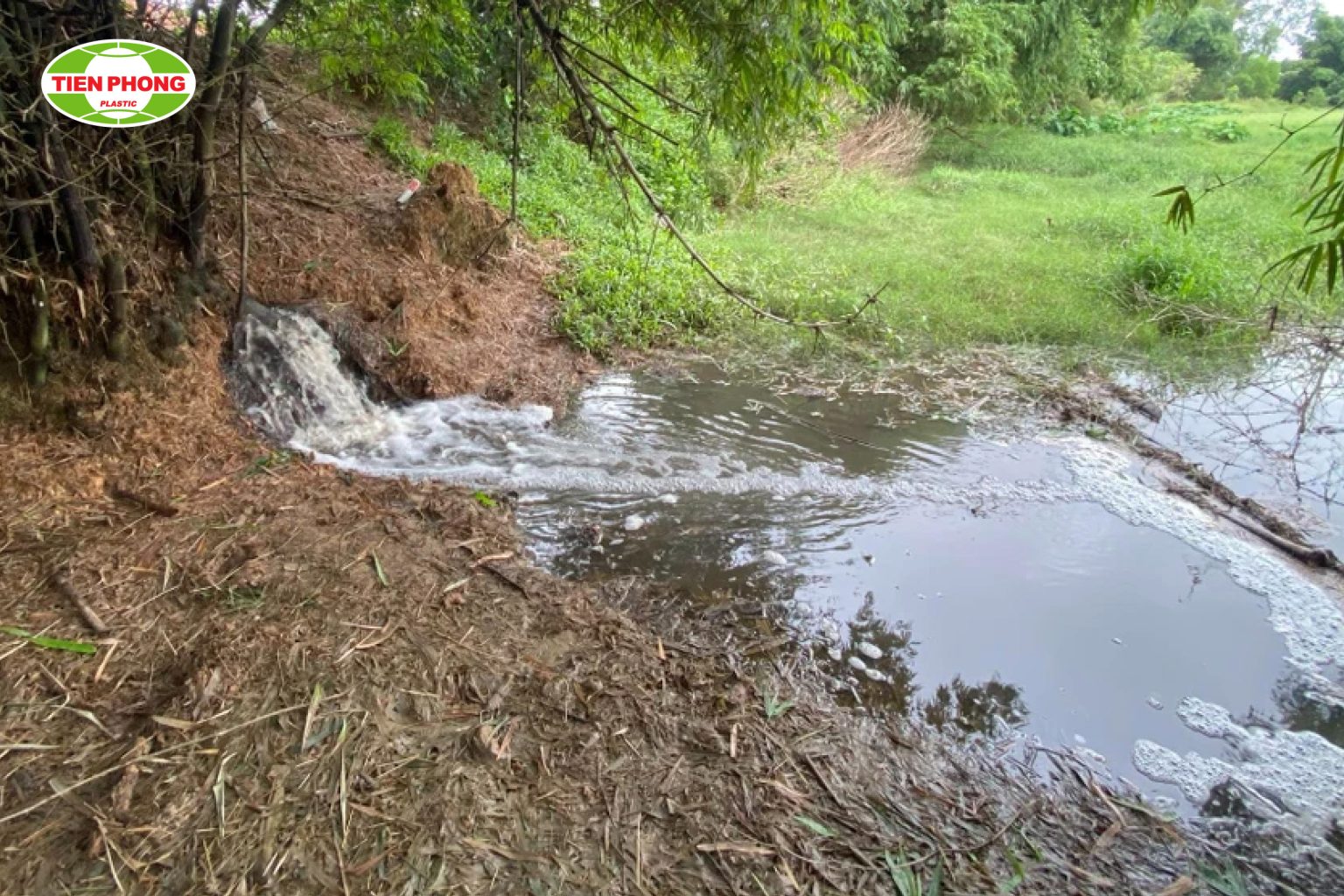 thoát nước thải chăn nuôi