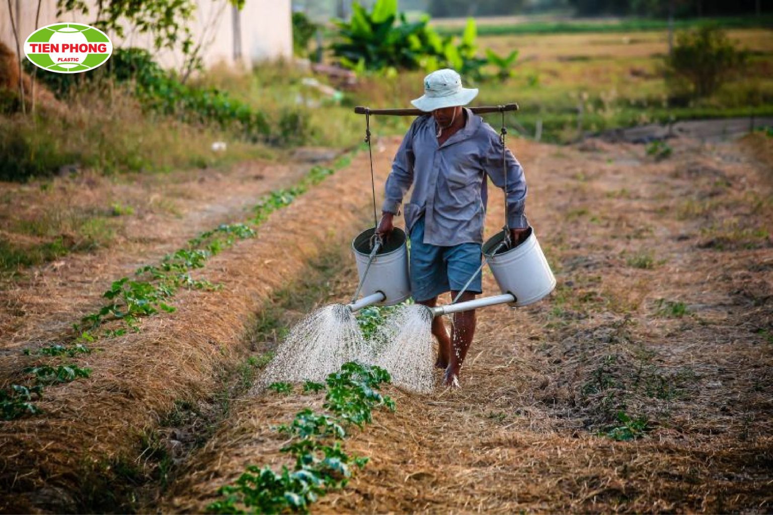 tưới nước nông nghiệp