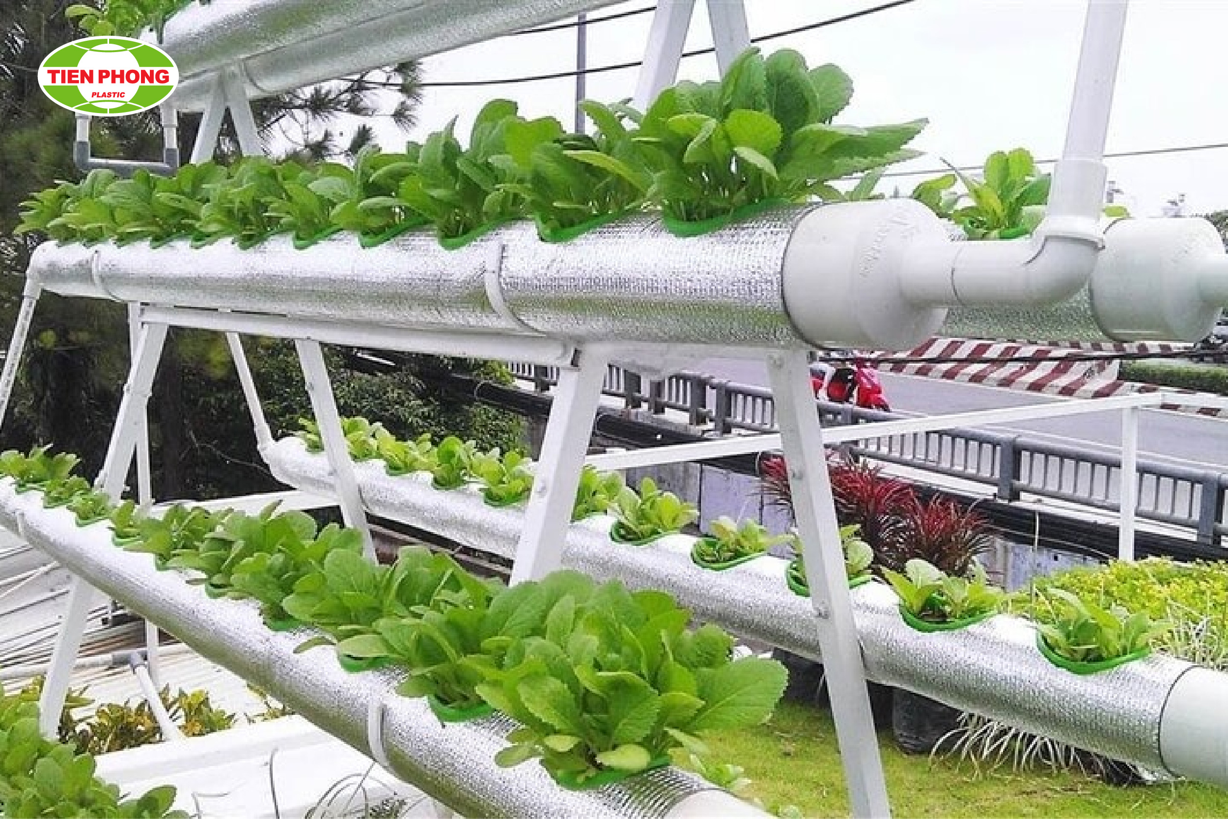 Tháp trồng cây bằng ống nước