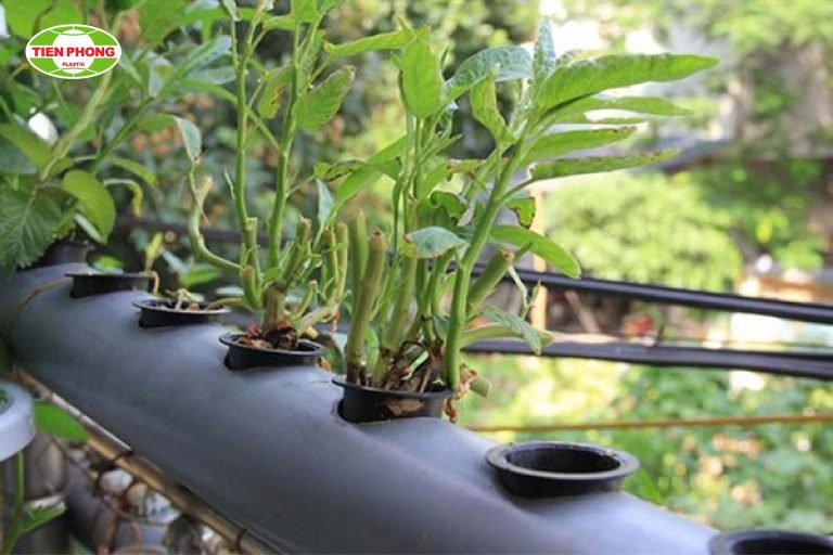 làm chậu trồng cây bằng ống nước