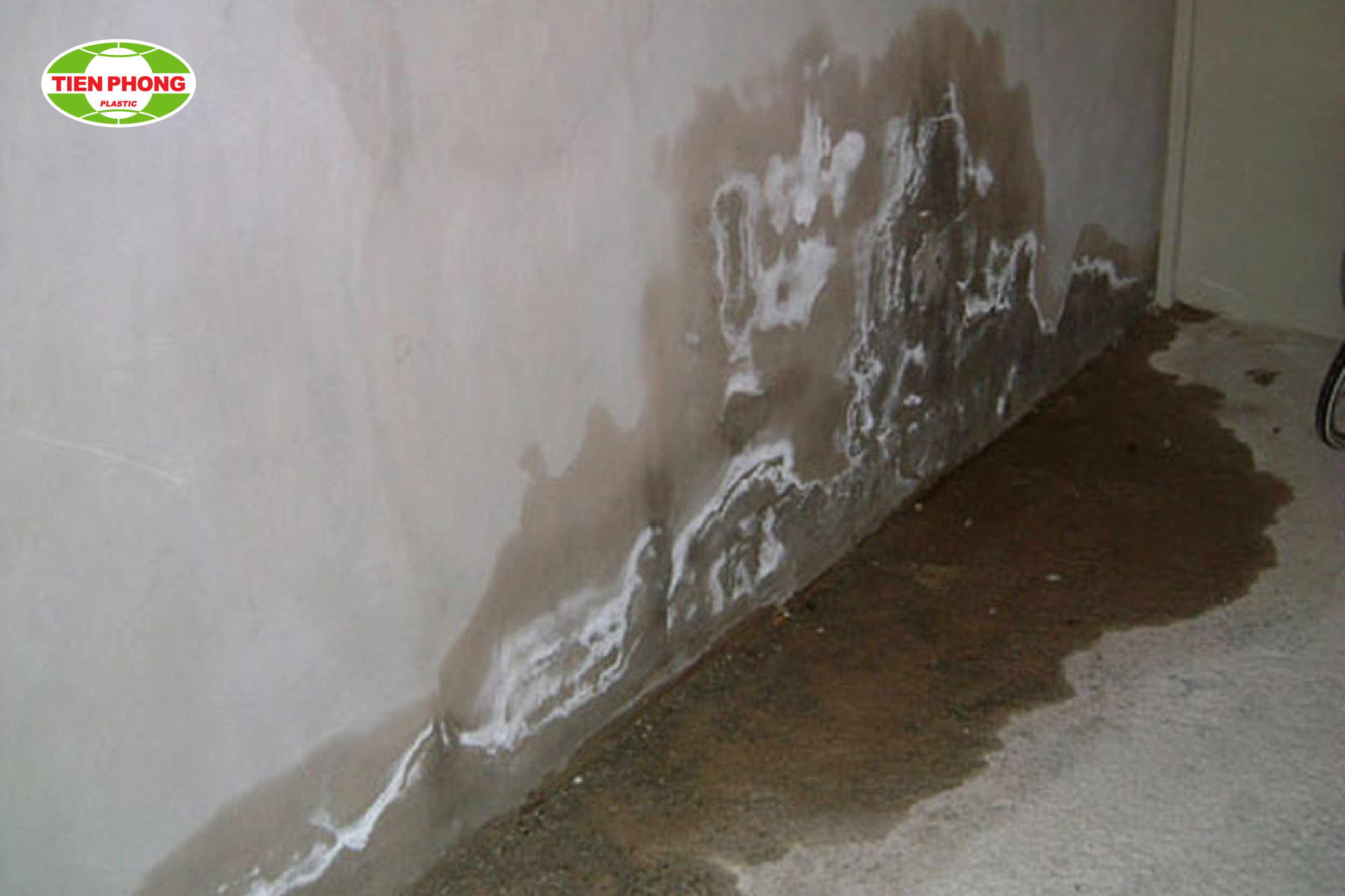 Thoát nước bị thấm 