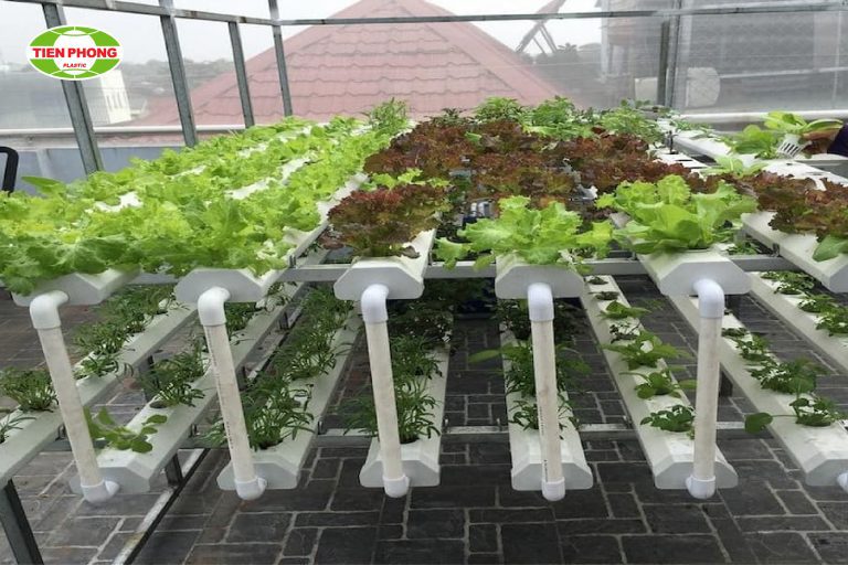 tự lắp đặt giàn rau thủy canh