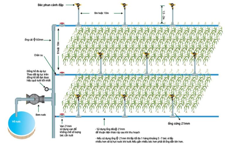 thiết kế hệ thống tưới cây tự động