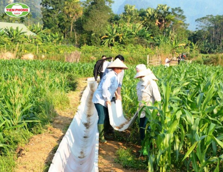 mương tưới tiêu