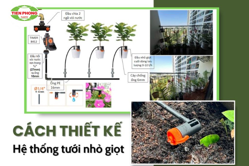thiết kế hệ thống tưới nhỏ giọt sân vườn