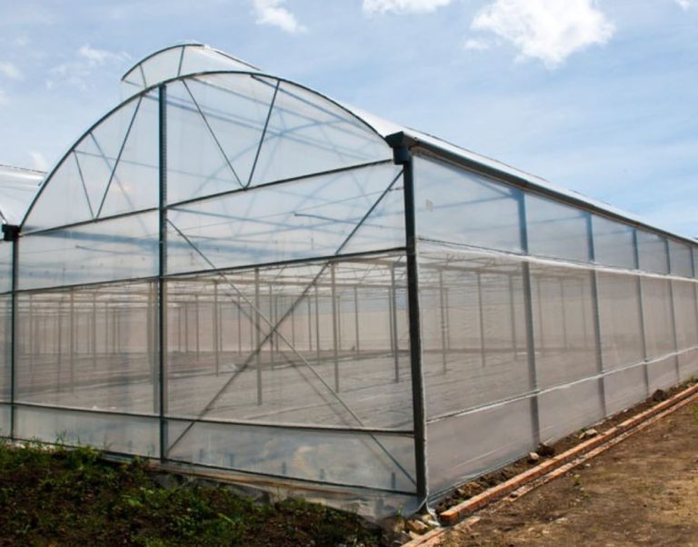 Yếu tố kỹ thuật lắp đặt khi ứng dụng ống nhựa PVC-U Tiền Phong trong nhà kính