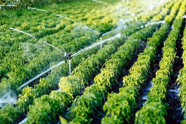 Khi nào không nên tự tái sử dụng nước thải tại nhà?